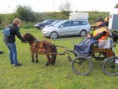 /album/menrit-en-barbecue-29-09-2014/menrit-29-9-12-025-jpg/